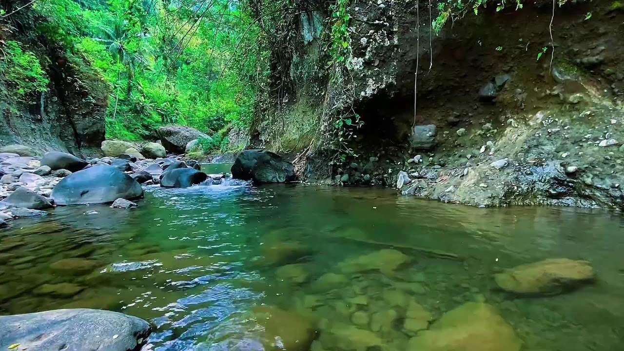 Natural Water Flow Forest River, Mountain Stream Sounds, Sleep
