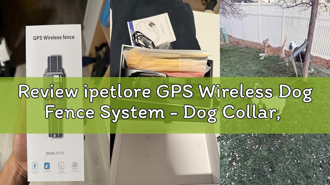 Review ipetlore GPS Wireless Dog Fence System - Dog Collar, Electric Circular Fence for Dogs | Safe