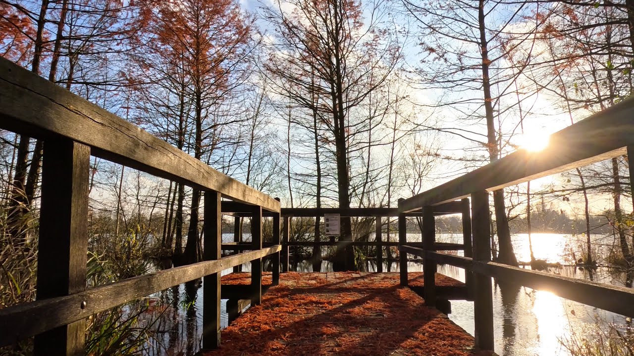 Dezembersonne unterwegs an der Oste und am Vörder See