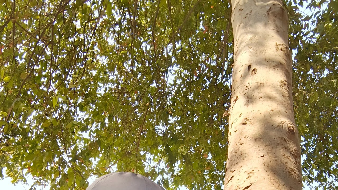 👋🏼শুভ সন্ধ্যা 🌄 শাহেনার শখের রান্নাঘর  is live!