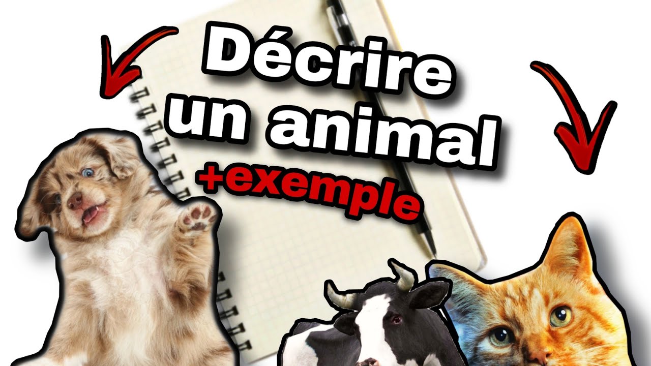 décrire un animal 📝🐕‍🦺