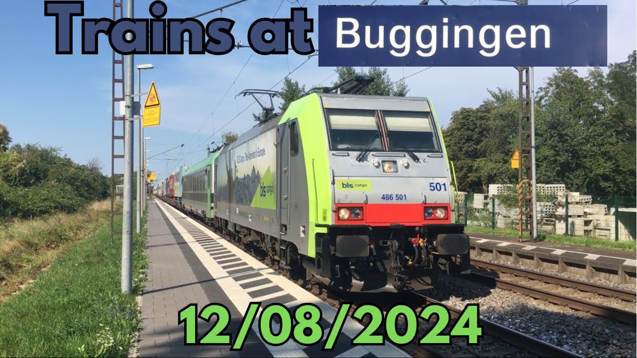 Trains at Buggingen | 12/08/2024