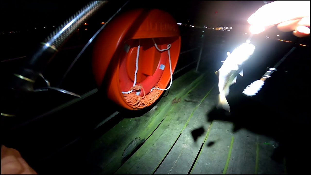 Night fishing from the pier with the Penn squidder 140