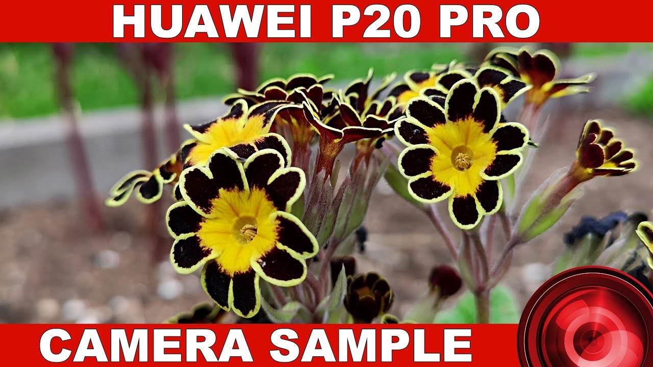 Huawei P20 Pro Camera Review