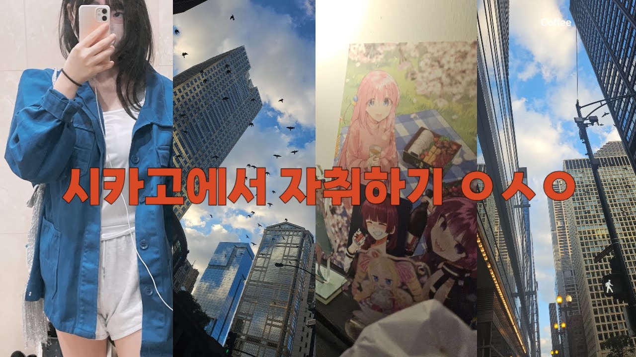 시카고에서 자취하기 ㅇㅅㅇ