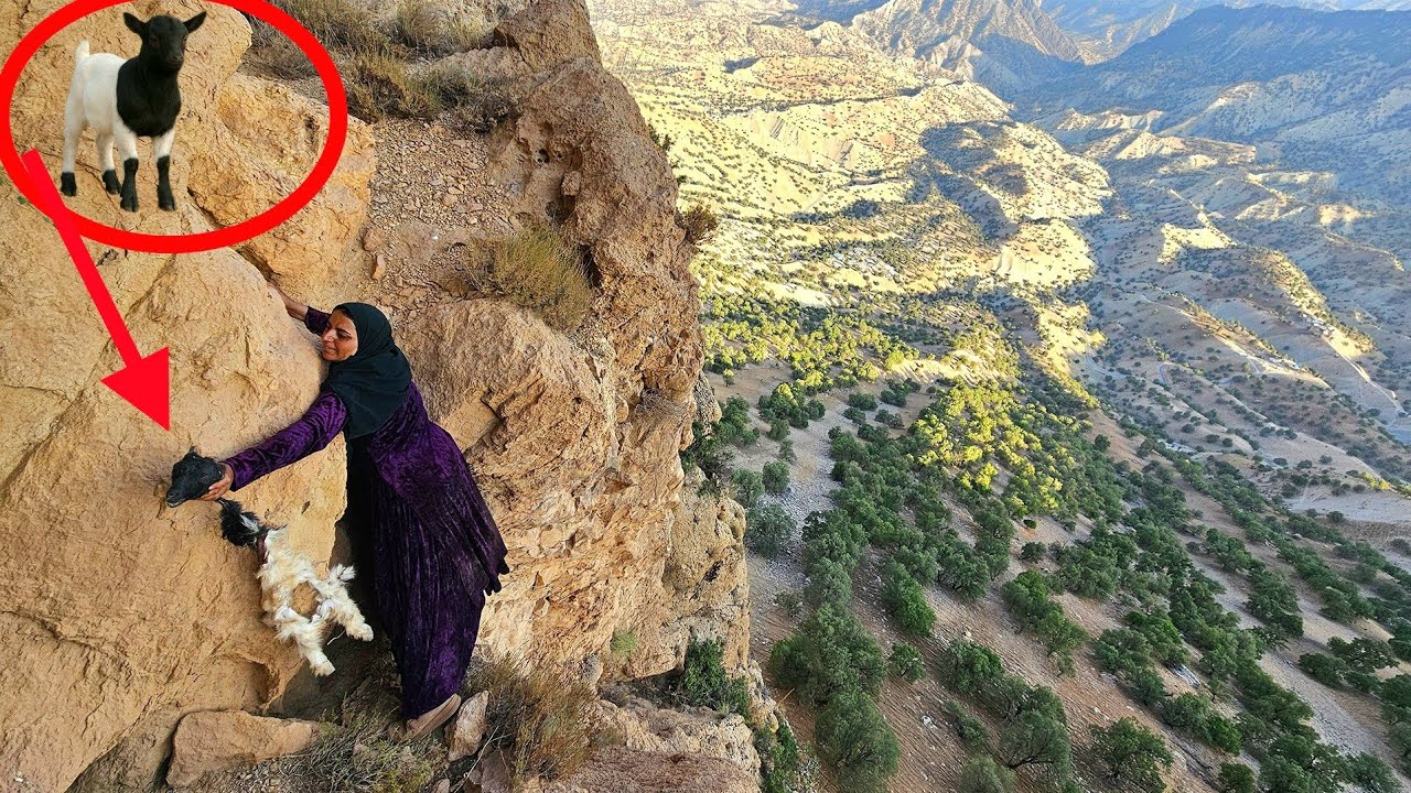 💔 Nomadic Woman Finds Her Lost Baby Goat DEAD in Harsh Mountains 🐐😢 | Heartbreaking Moment