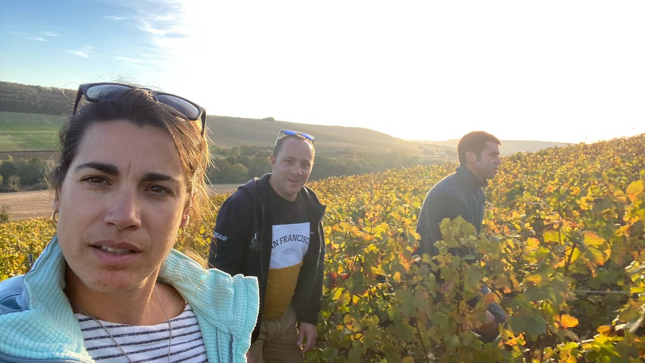 Découverte de la Champagne avec David Faivre