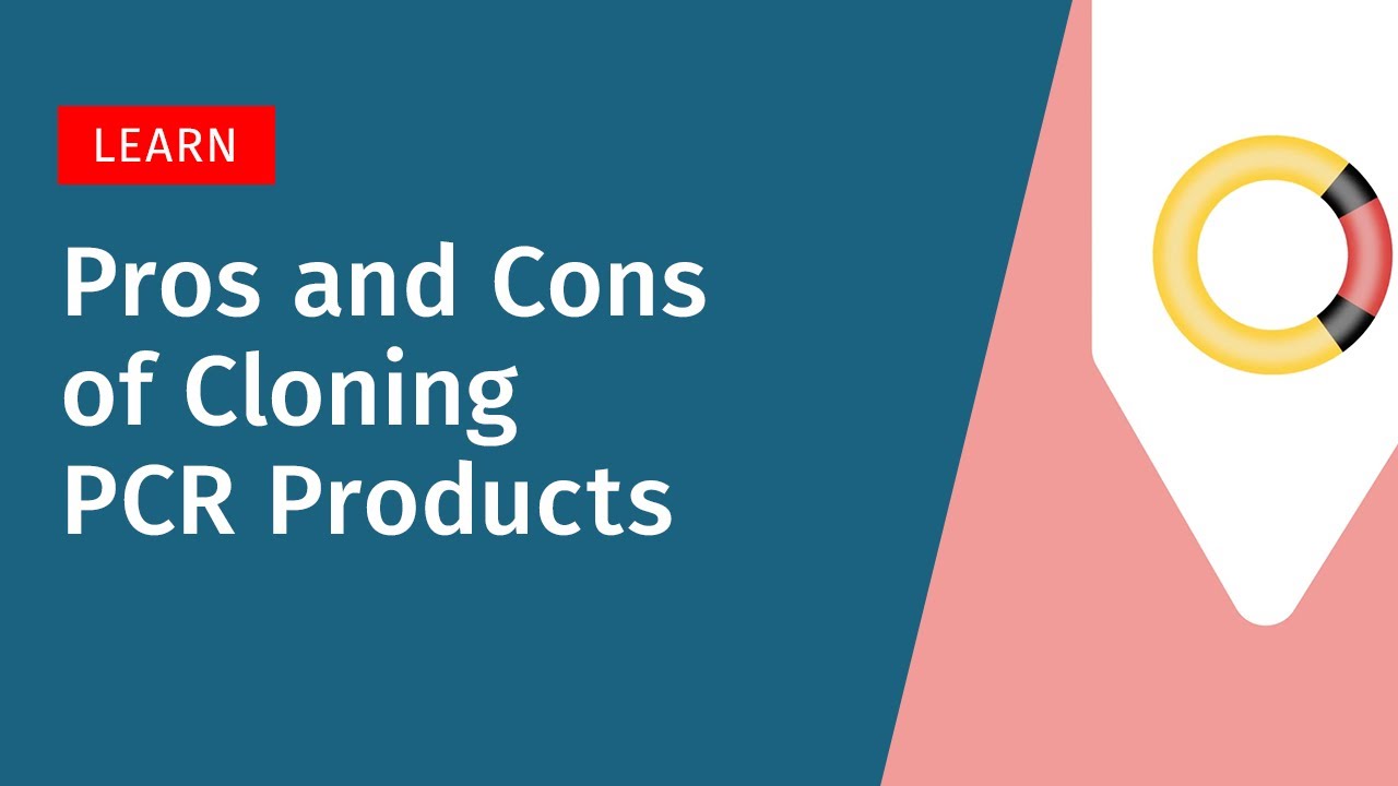 Pros and Cons of Cloning PCR Products