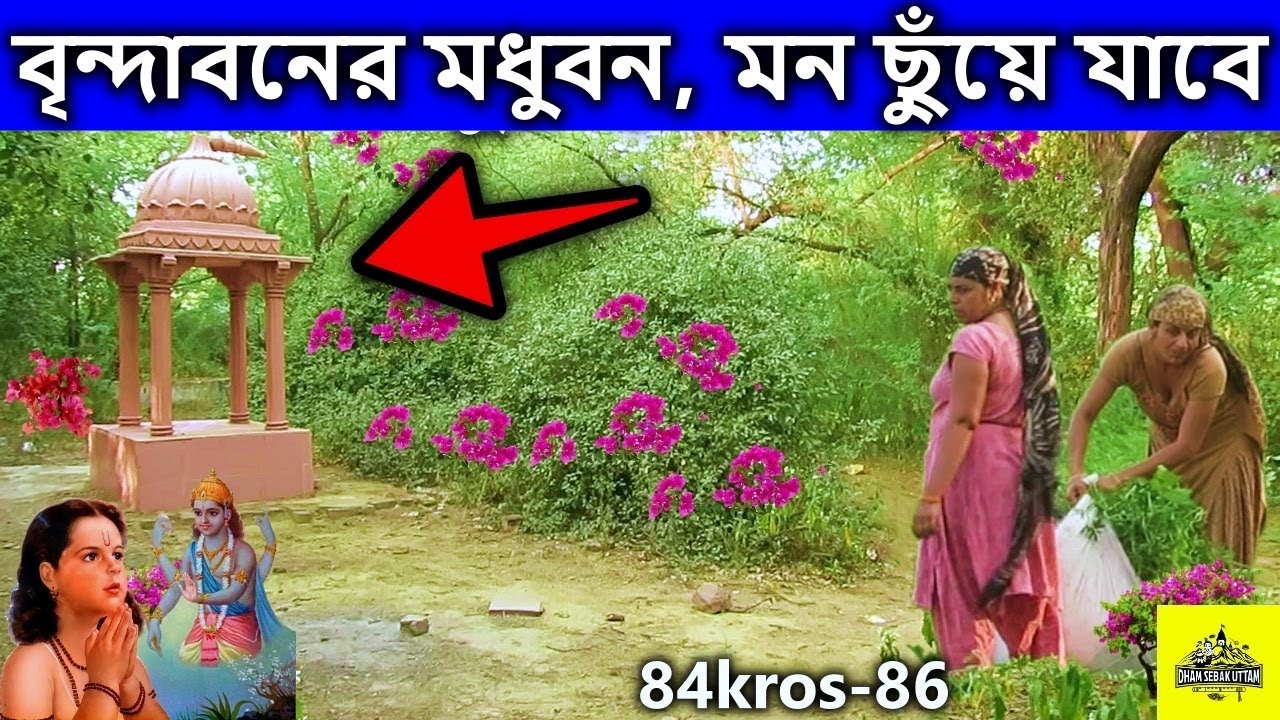 বৃন্দাবন,  vrindavan  এই সেই মধুবন,  দেখলে মন আনন্দে ভরে উঠবে ।   বৃন্দাবন ধাম দর্শন,