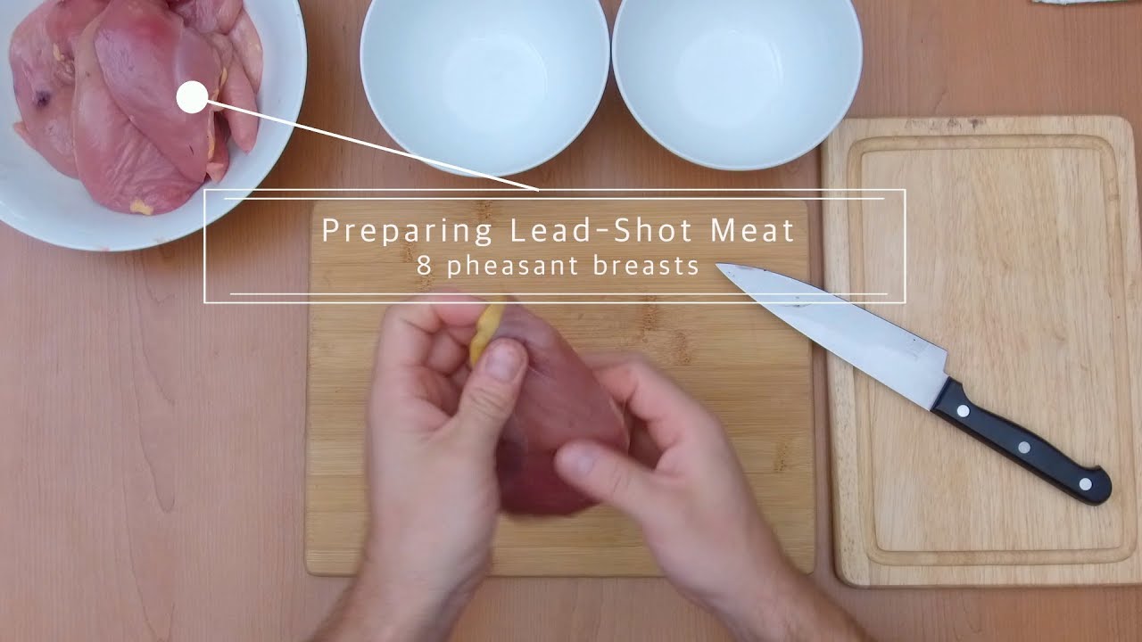 Lead-shot game birds: how to prepare for cooking