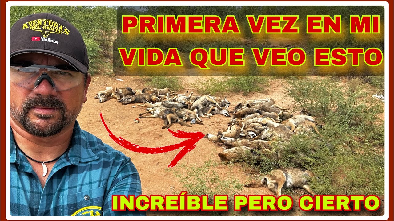 AVENTURA 395 BUSCANDO MIGRANTES NECESITADOS ME ENCUENTRO CON ESTO??? No puedo creerlo