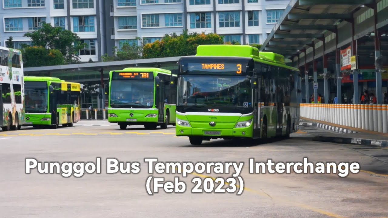 Punggol Bus Temporary Interchange (Feb 2023)