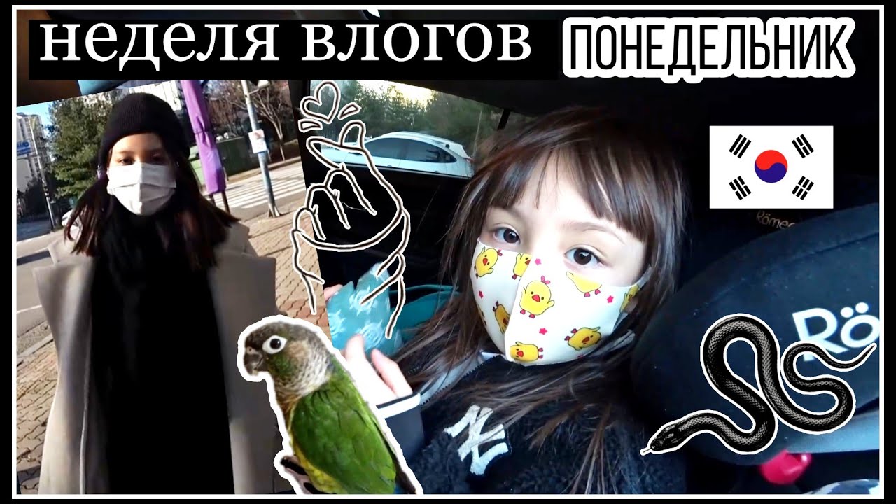Неделя влогов/Понедельник/ KOREA VLOG/