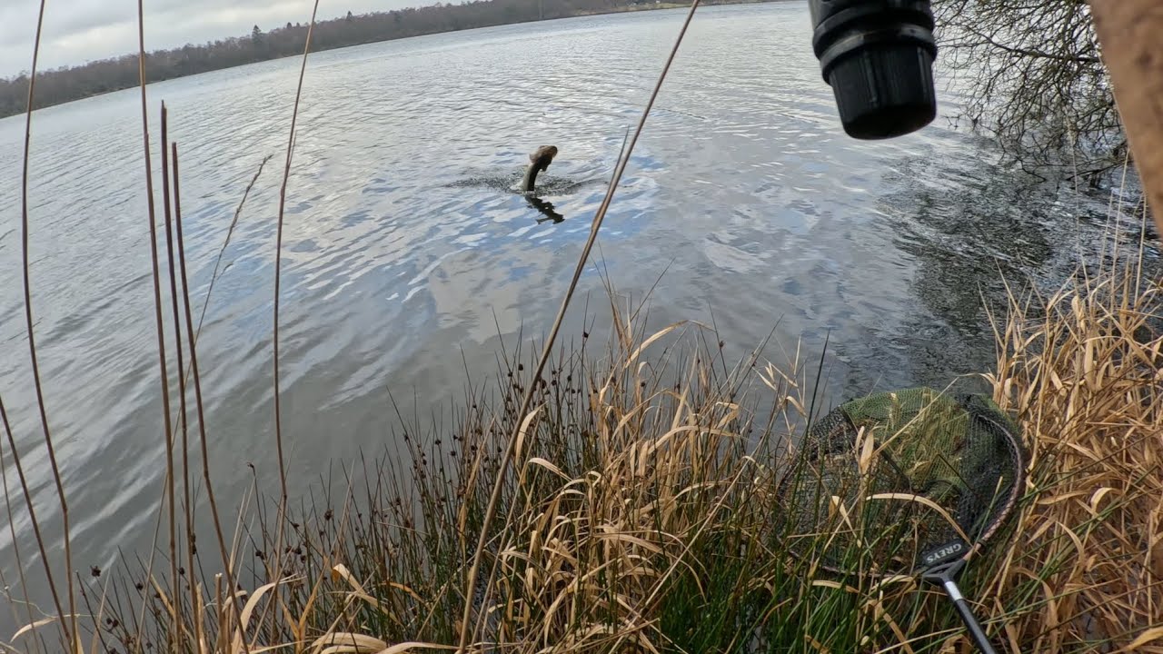 Searching for pike . Scottish boarders. 