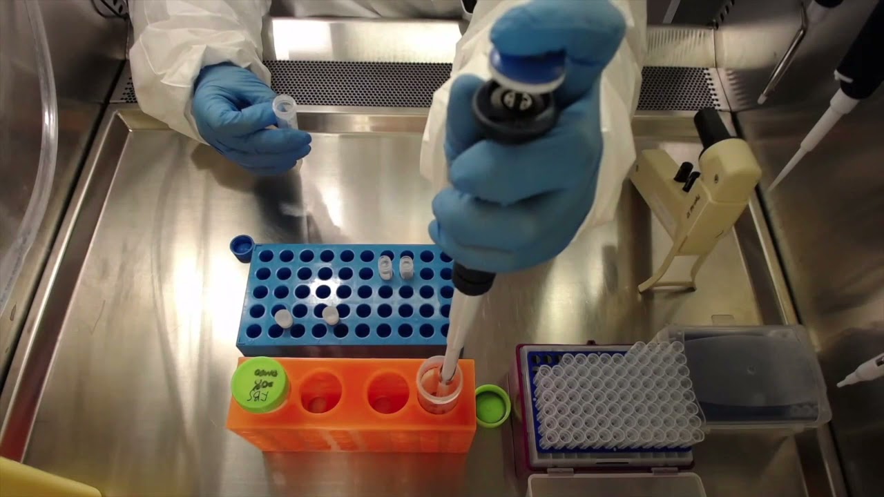 Protocol for Freezing iPSCs