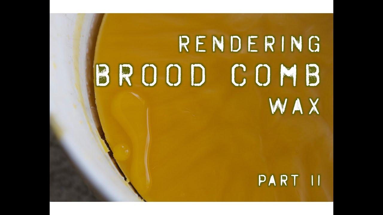 P's Bees: Rendering Brood Comb Wax, Part II | Fresh P