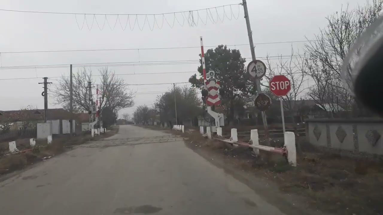 vlog 20181123 Berindei IonelNistorVlog #IonelNistorBlog #ApisInes #IonelNistor