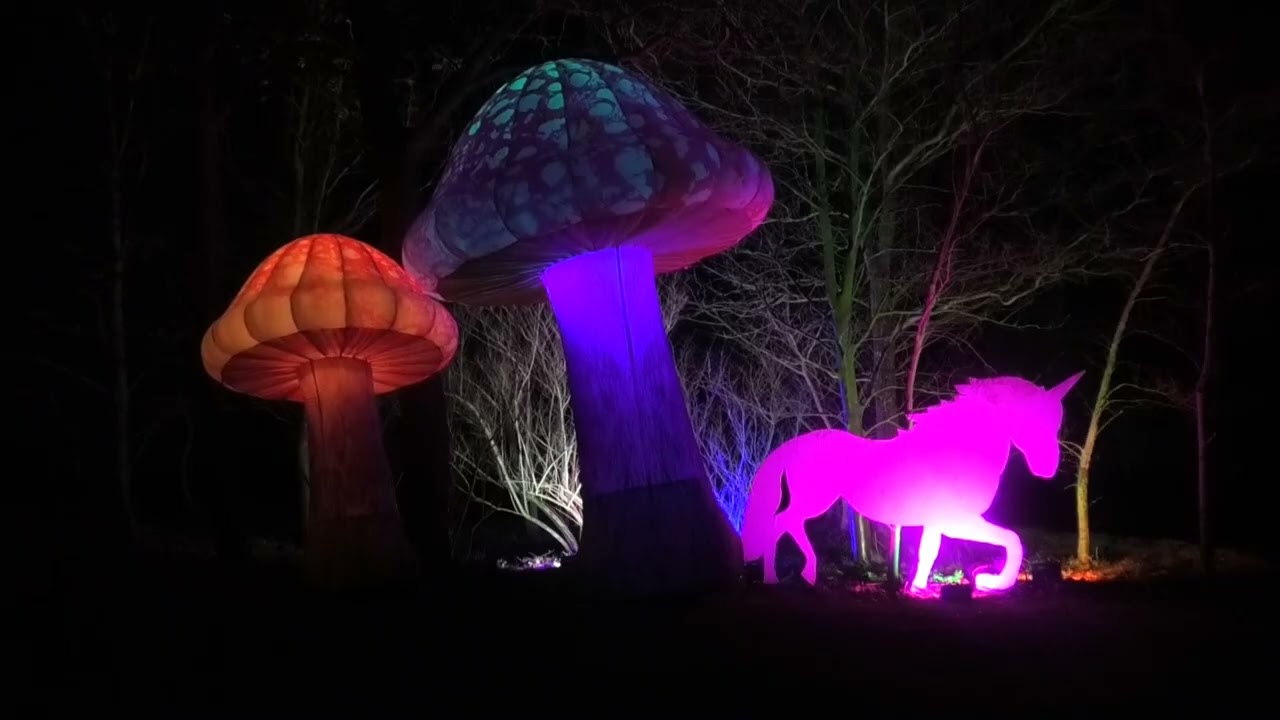 SPO leuchtet – Licht trifft Lyrik und Biikebrennen in St. Peter-Ording