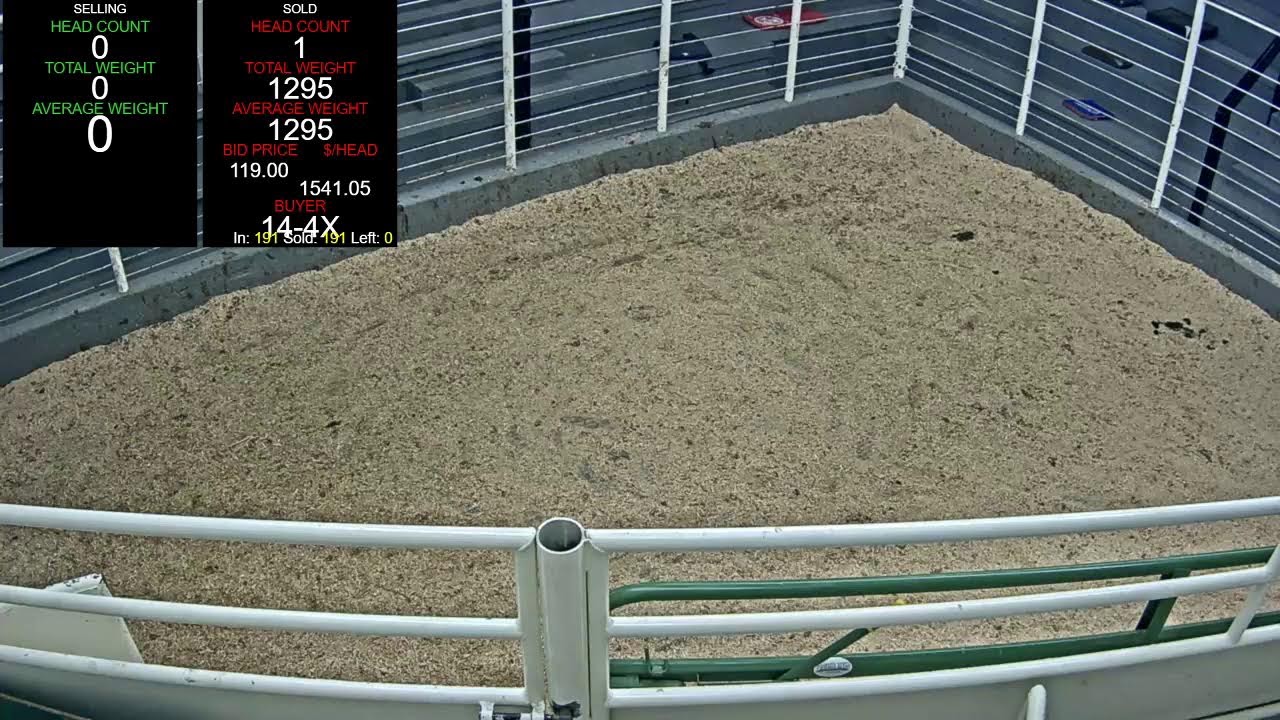Everson Auction Market Live Stream 3/2/2026