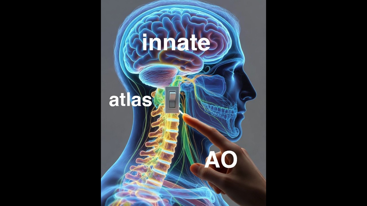The Future of Chiropractic - Atlas Orthogonal Chiropractic