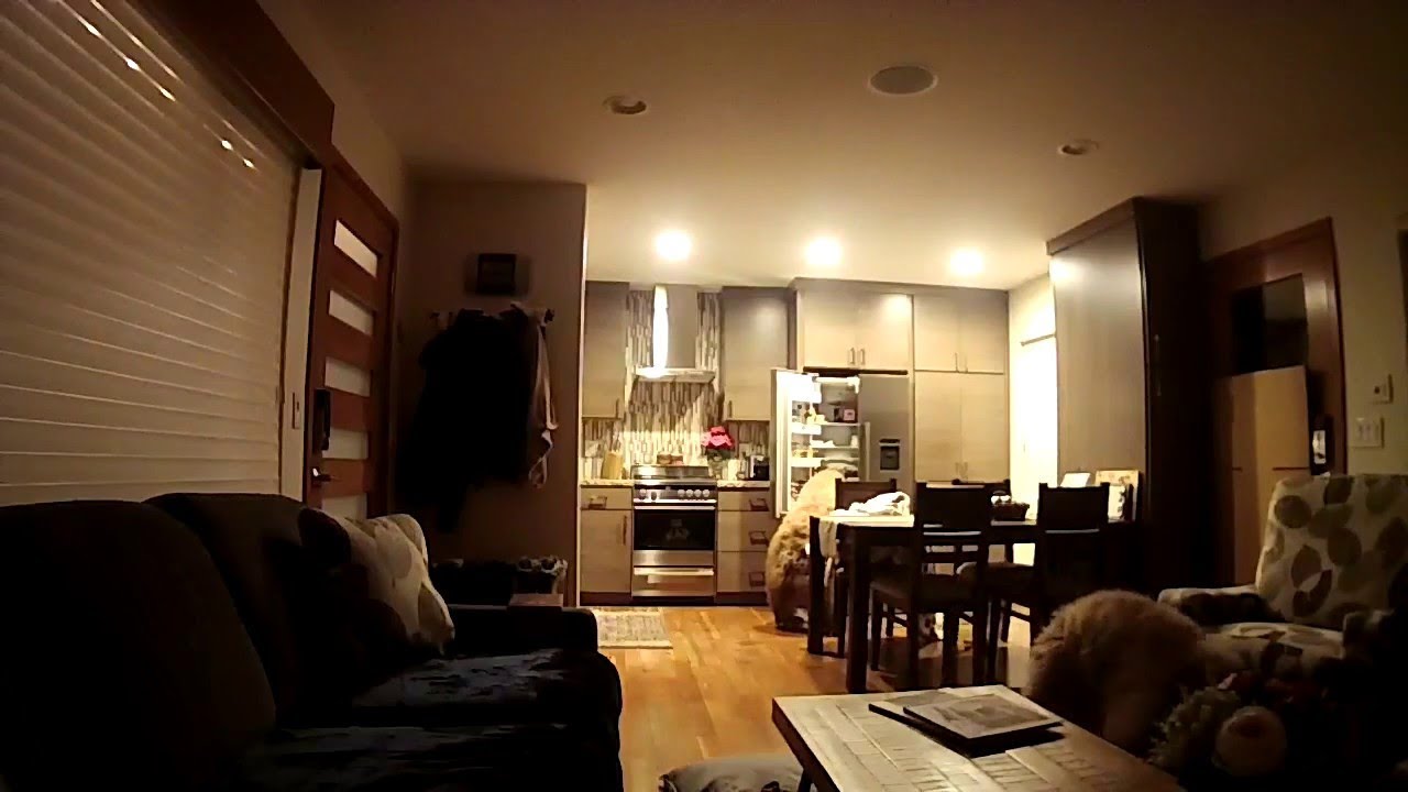Bears Break in and Find the Fridge || ViralHog