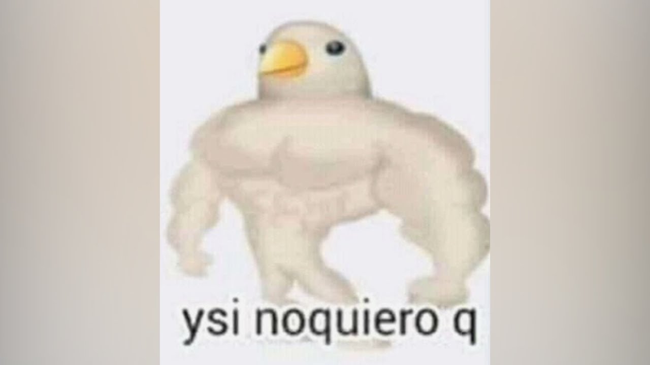 MEMES MUY XD #55