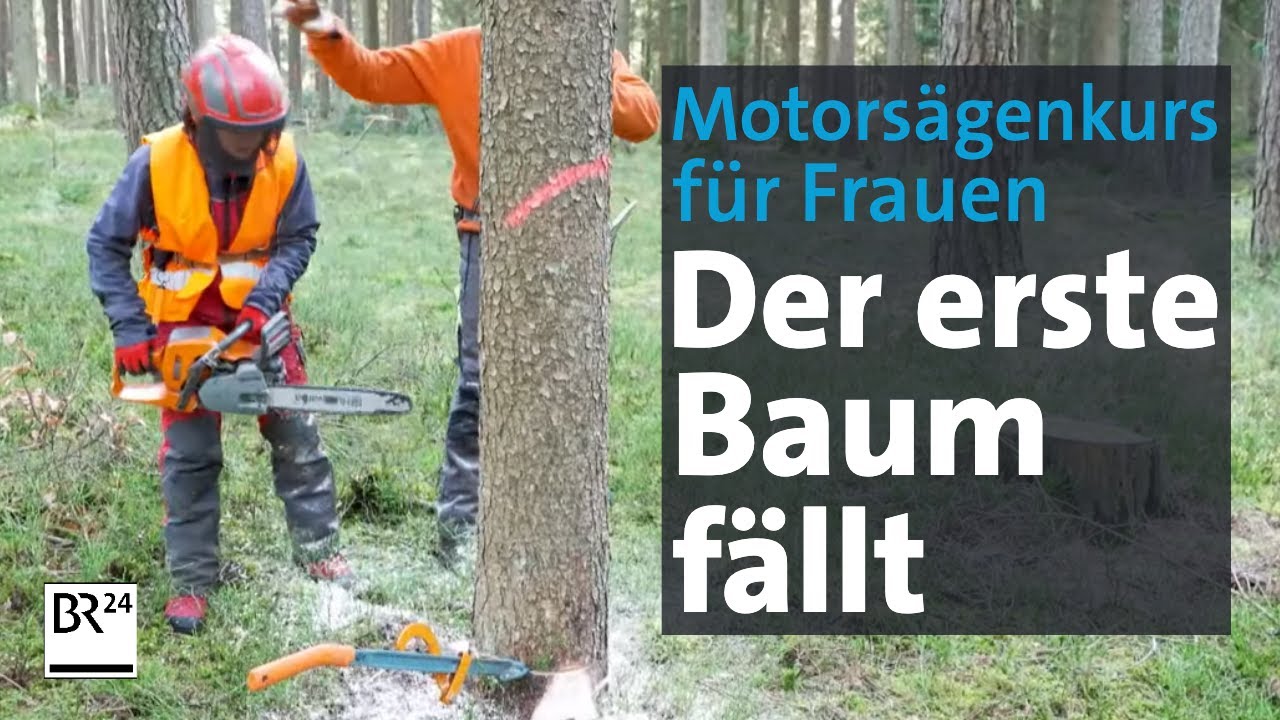 Motorsägenkurs an der Waldbauernschule | Abendschau | BR24