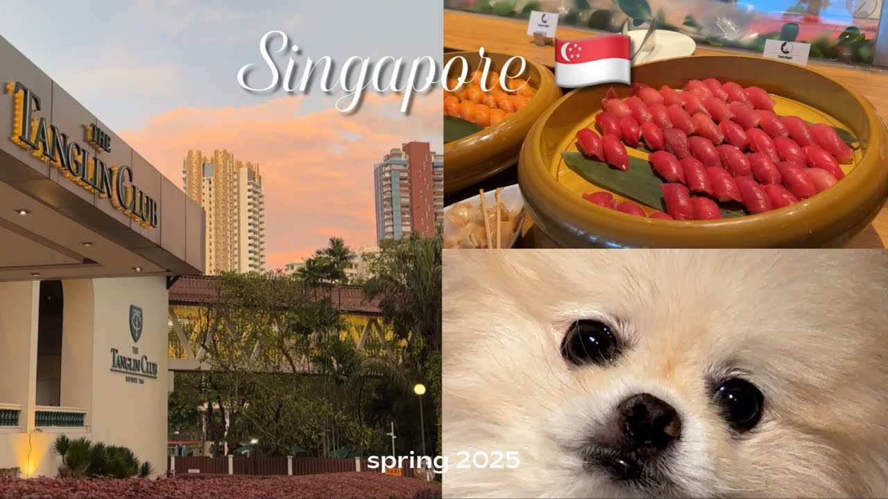 SINGAPORE vlog 🇸🇬 | tanglin club, weekend trip to KL, nobu weekend brunch, birthday dinners