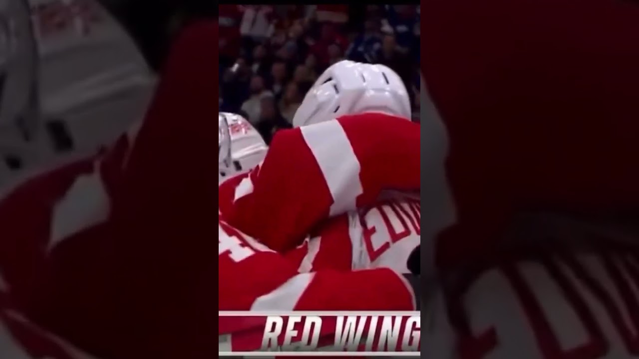 Simon Edvisson with a BEAUTY puts Detroit up 2-1  #lgrw #hockey #redwings #nhl #yzerplan