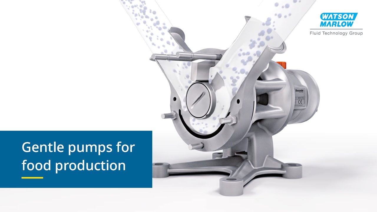 Low shear gentle food transfer pump | MasoSine Certa | WMFTG