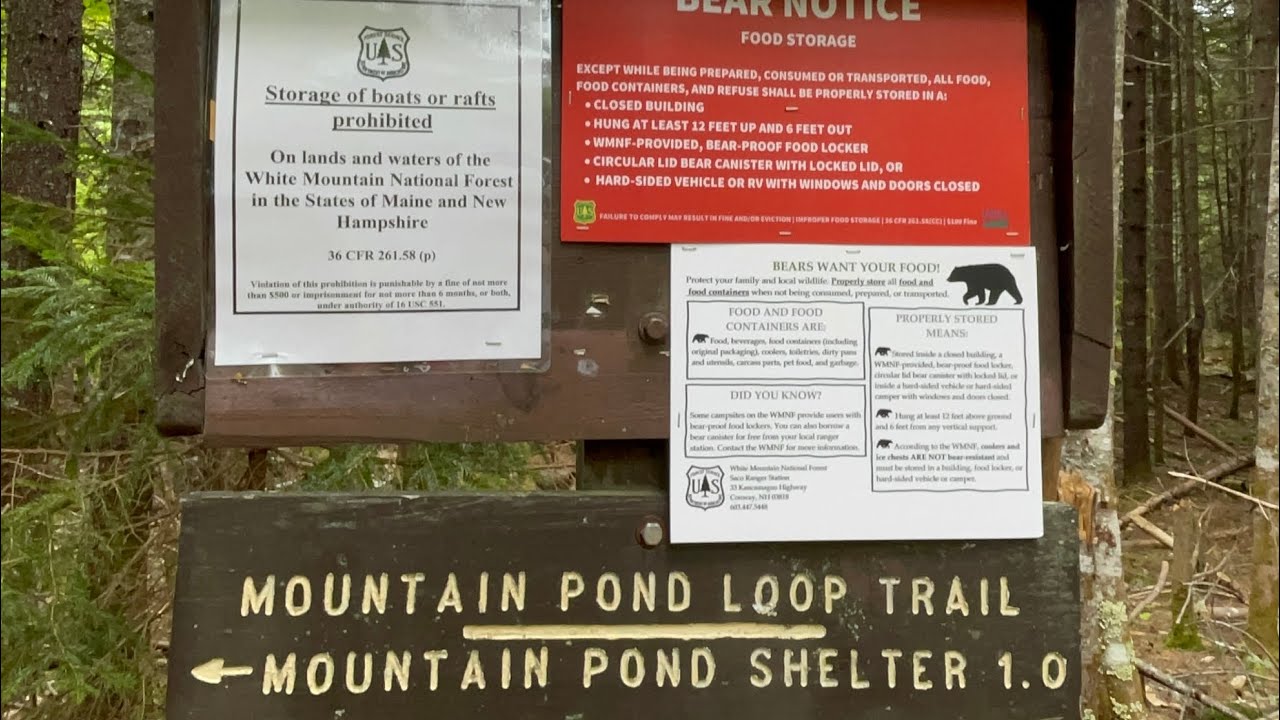 Mountain Pond Shelter Chatham NH Reconnaissance Hike:).