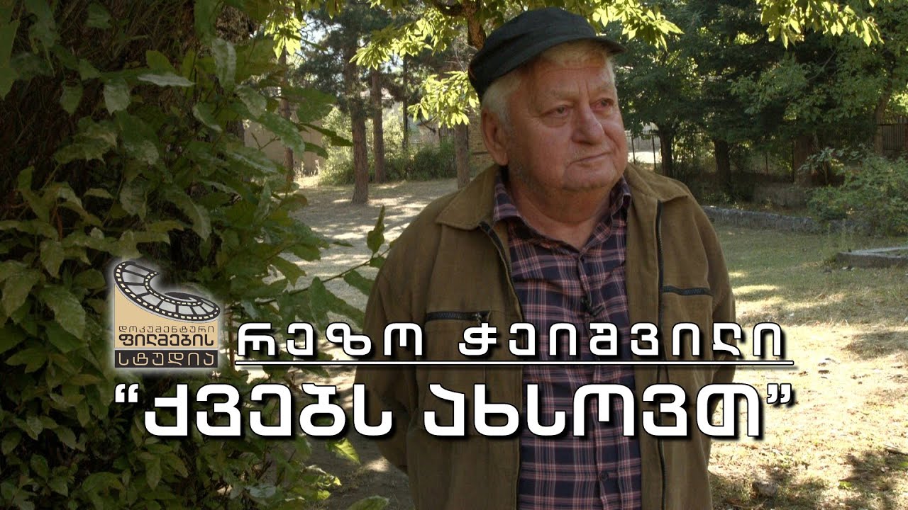 ქართული დოკუმენტალისტიკა - 
