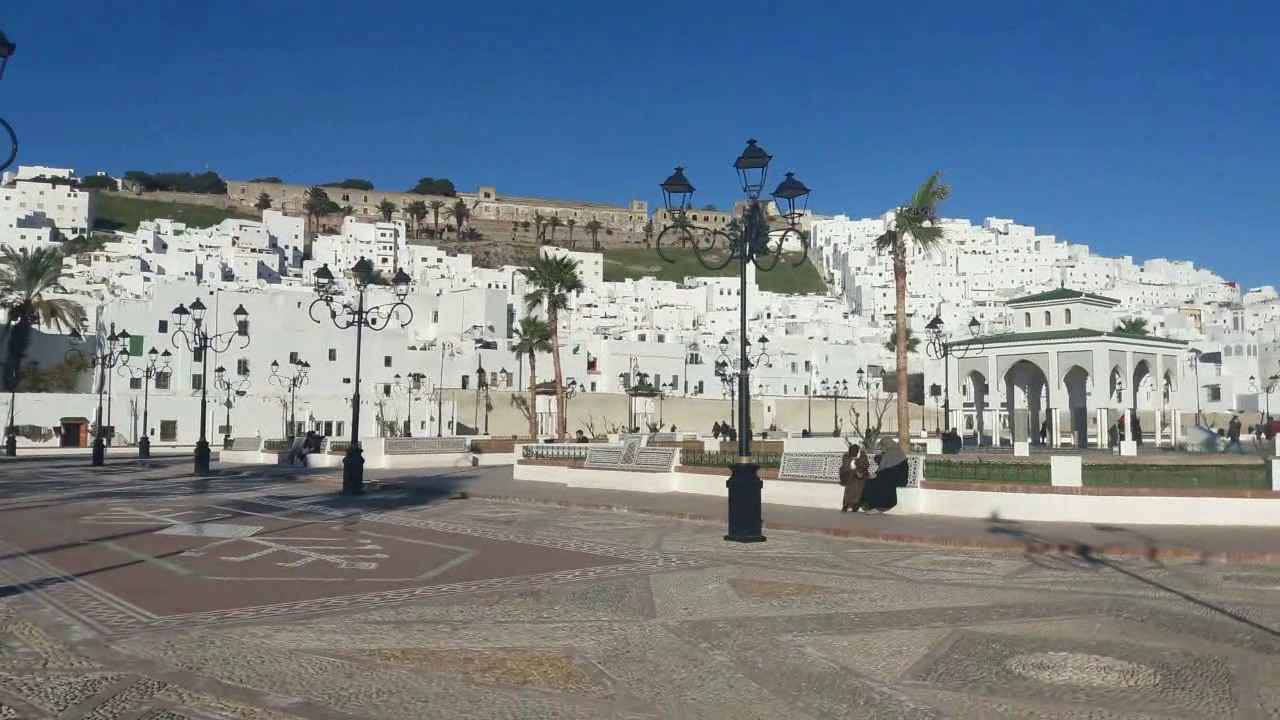 Documentaire La Place El Feddan TRDH 2017