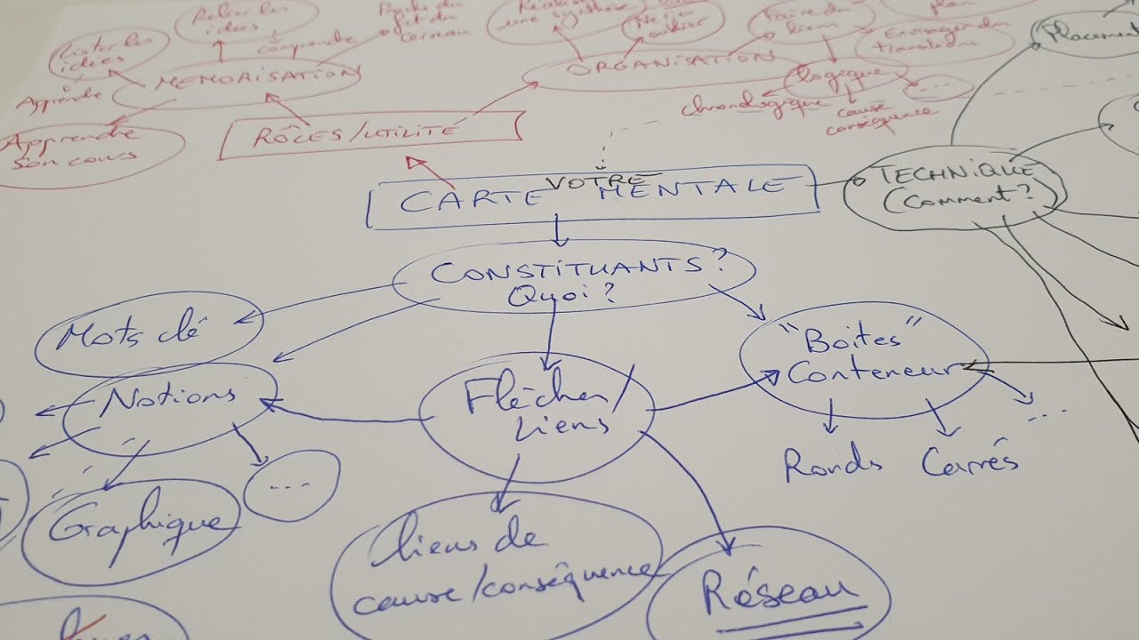 [eSVT] Méthode - La carte mentale en SVT
