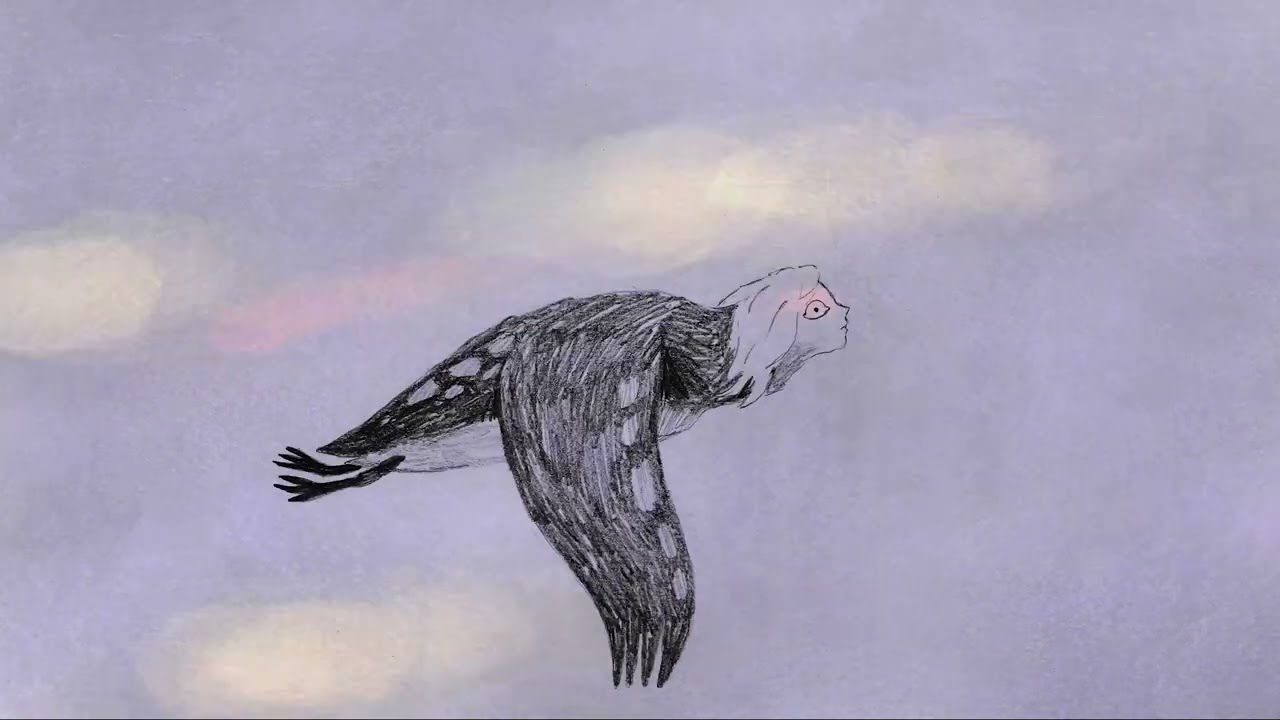 Loons Have Solid Bones