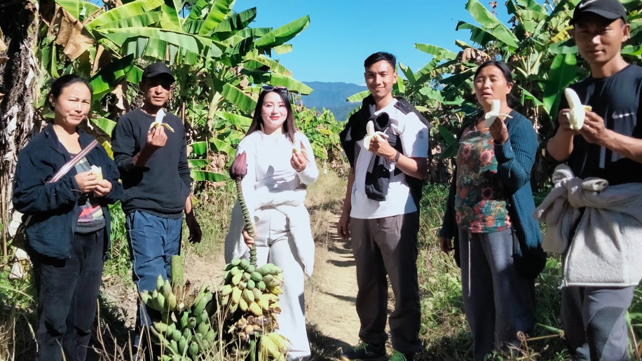 Visiting Banana farm at Dutlong 2025 December 🌱