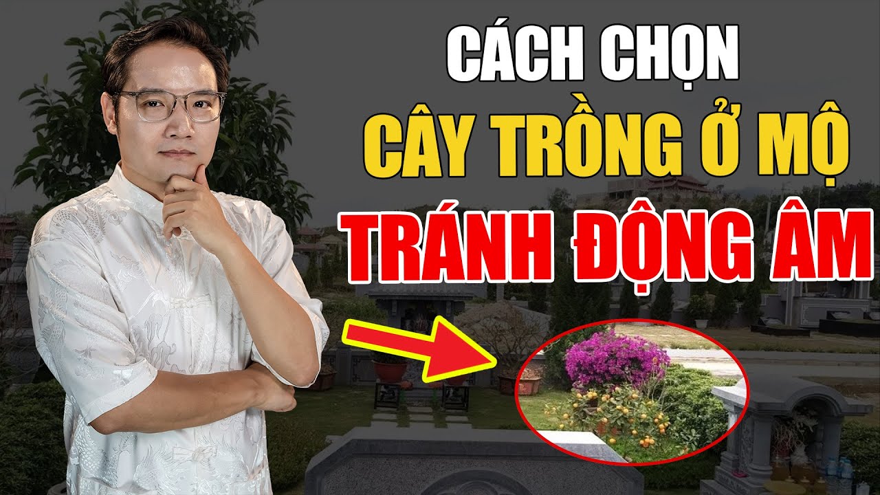3 Lưu ý Chọn Cây Trồng ở Mộ, Tránh Phạm Kỵ Động Âm Phần