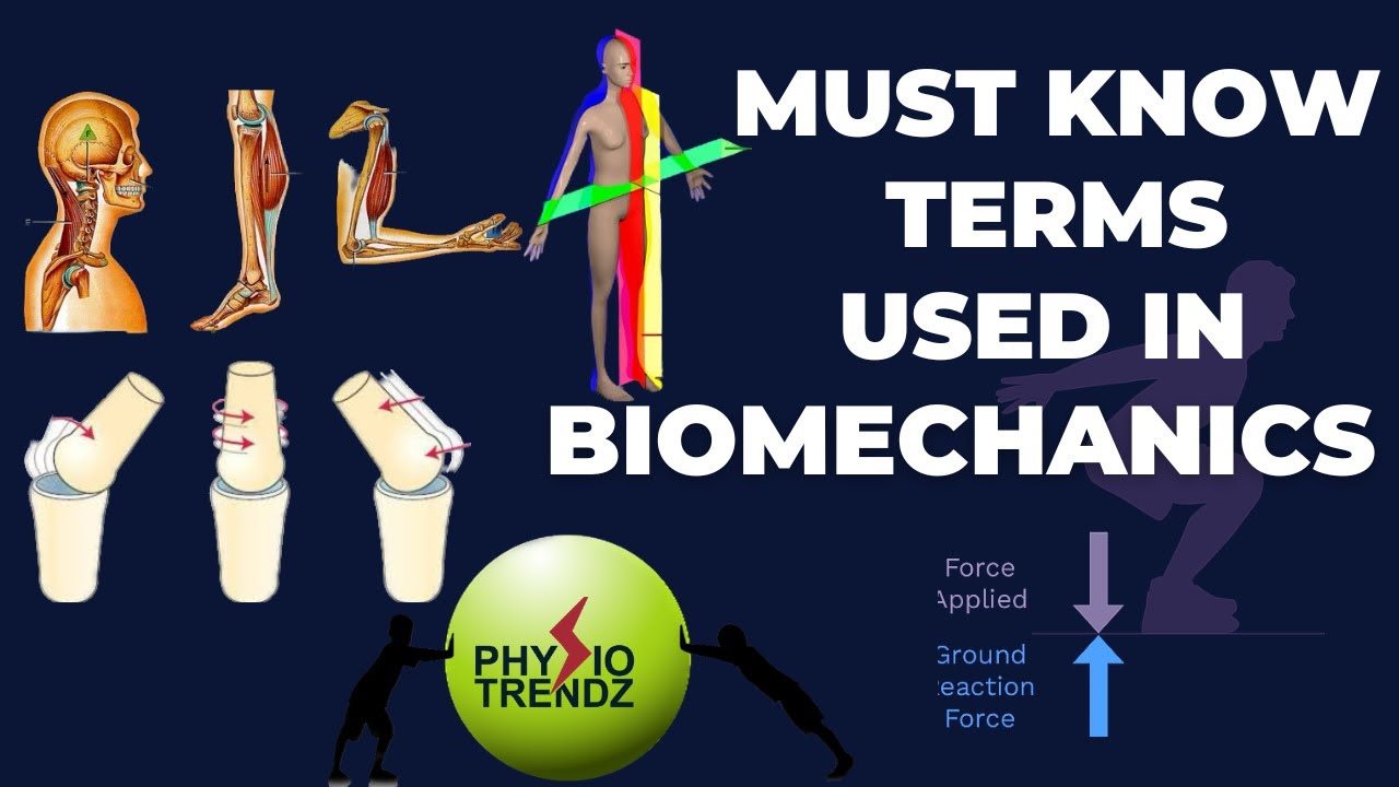 Основы биомеханики для физиотерапевта, #кинезиология #physiotrendz #medico