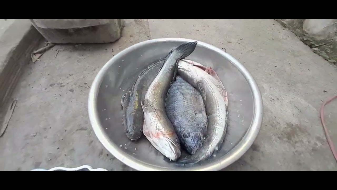 Chuẩn bị bếp than nướng cá 