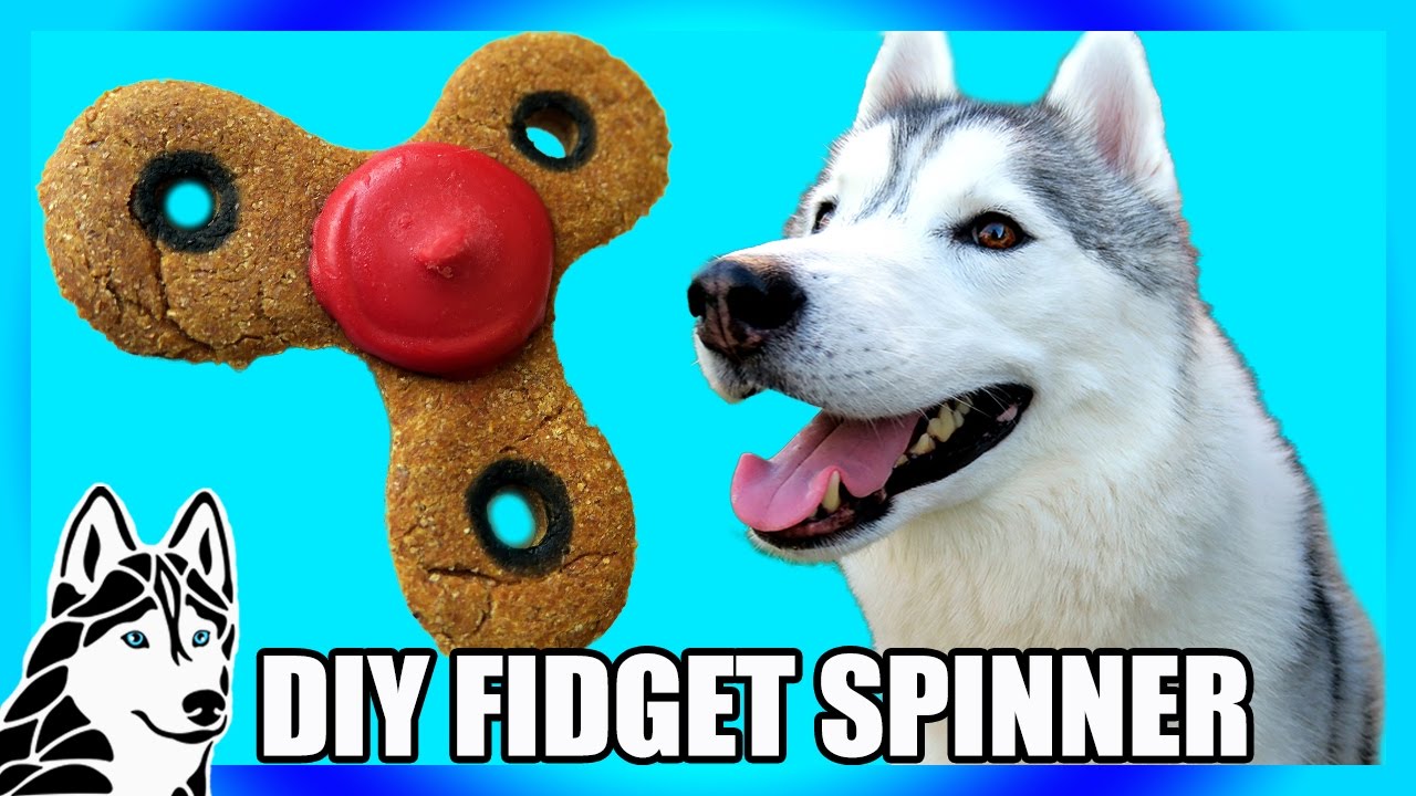 DIY FIDGET SPINNER DOG TREAT | DIY Dog Treats | Snow Dogs Snacks 73