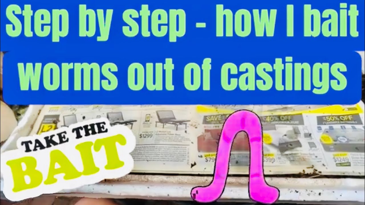 Step-by-step – how I bait worms out of castings