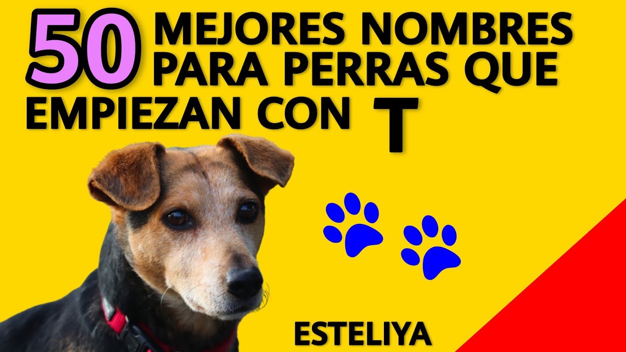 NOMBRES PARA PERRAS CON T.