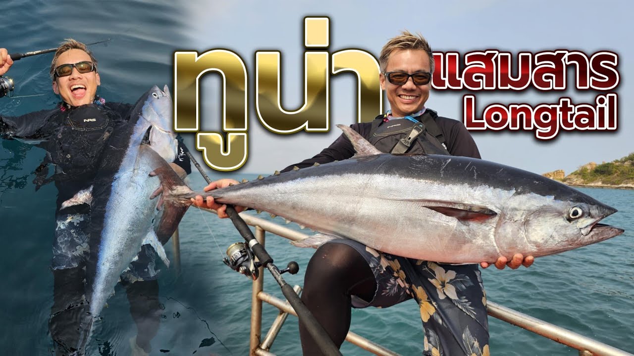 อ่าวไทย! ทูน่ายักษ์แสมสาร จะวิ่งหมดหลอดกี่รอบ!? Longtail Tuna at upper gulf of Thailand