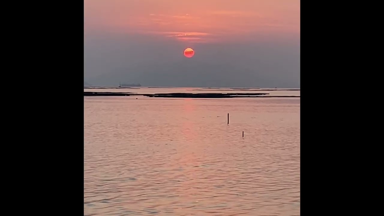 浜辺の朝散歩