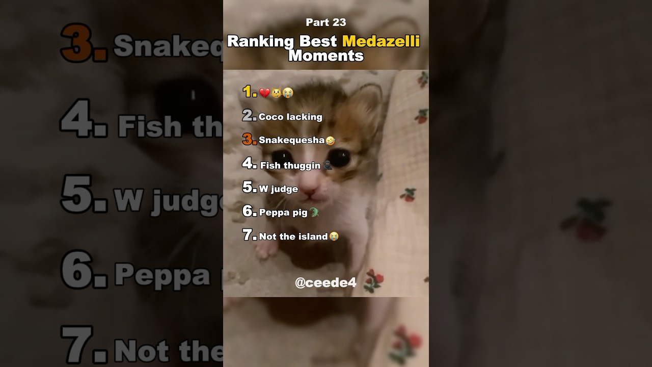 Самый смешной Medazelli🤣#рейтинг #medazelli #tiktok