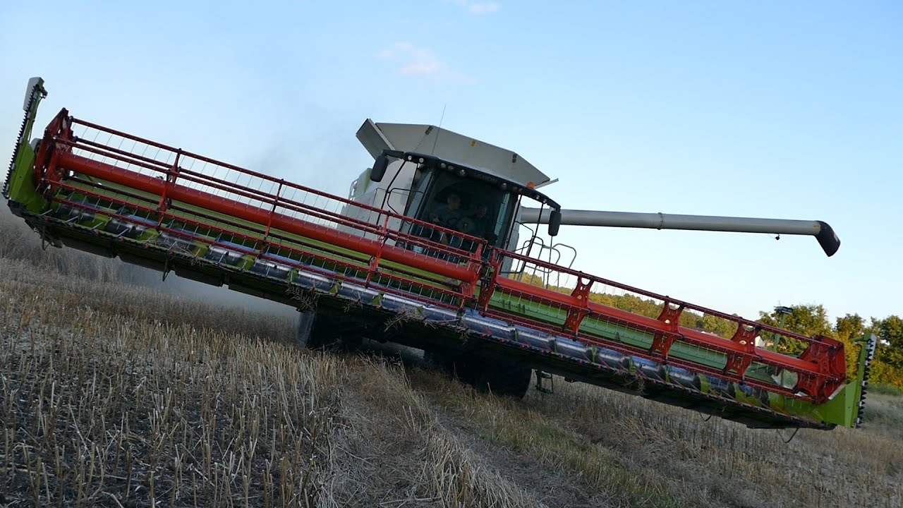 Claas Lexion 770 Terra-Trac | John Deere 7920 & 8100 | Canola Harvest | Christiansminde Multisite