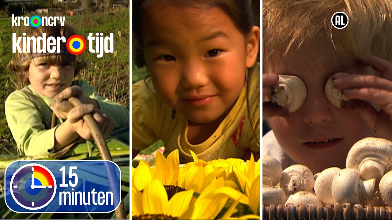 TOP 3 GROEIEN: Hoe groeien prei, zonnebloemen en champignons? | 15 minuten | Kindertijd KRO-NCRV