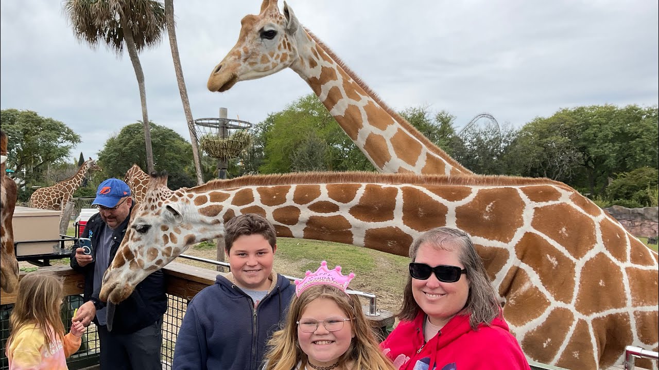 Busch Gardens Safari Tour