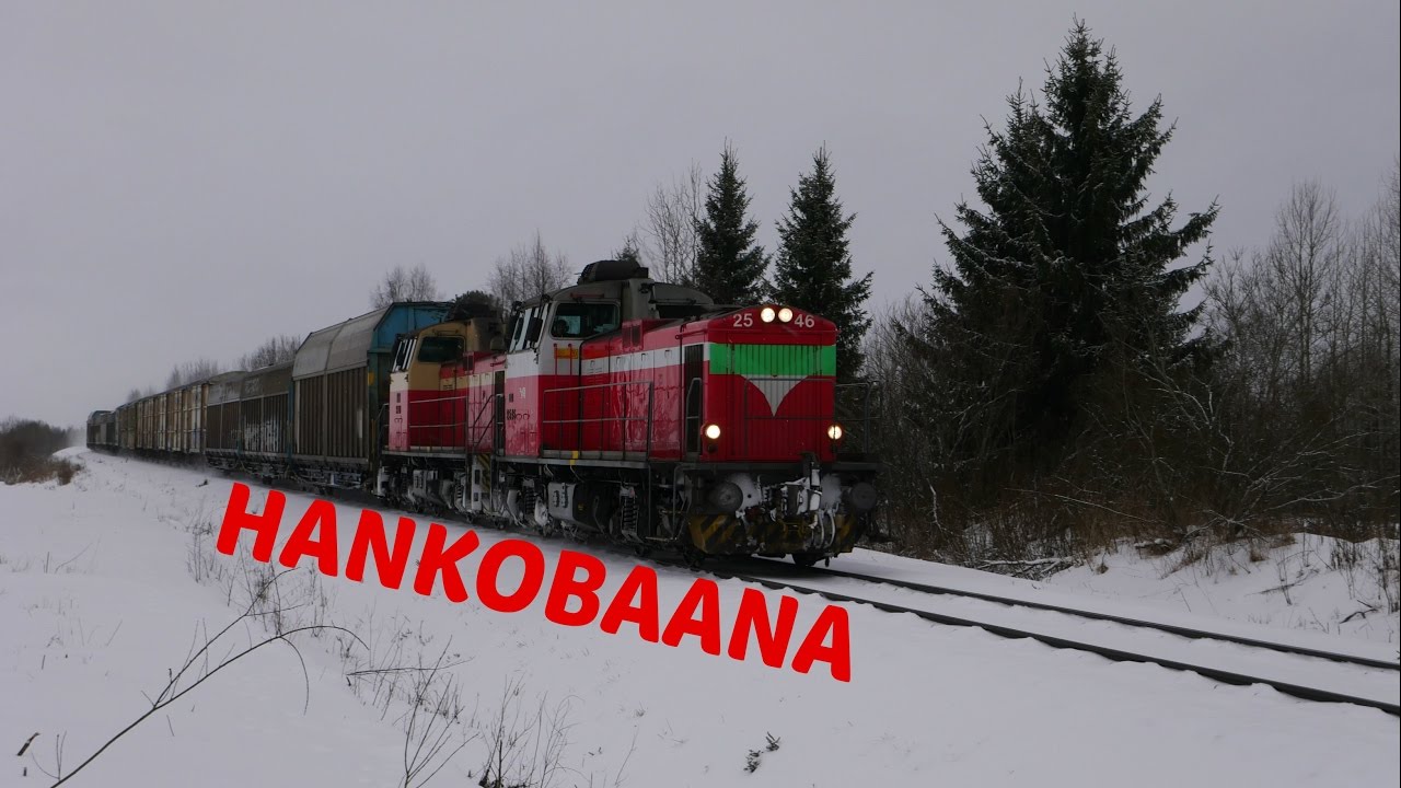Hankobaana #2