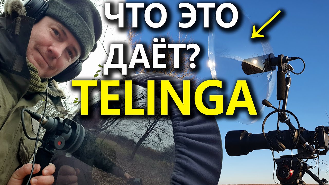 Telinga &ndash; микрофон и парабола для усиления звука